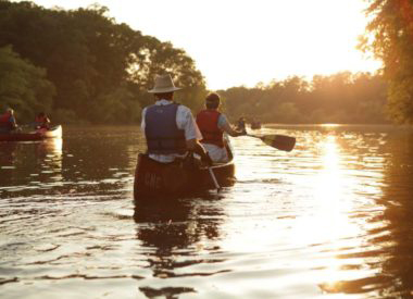 Chattahoochee-Nature-Center_380x275