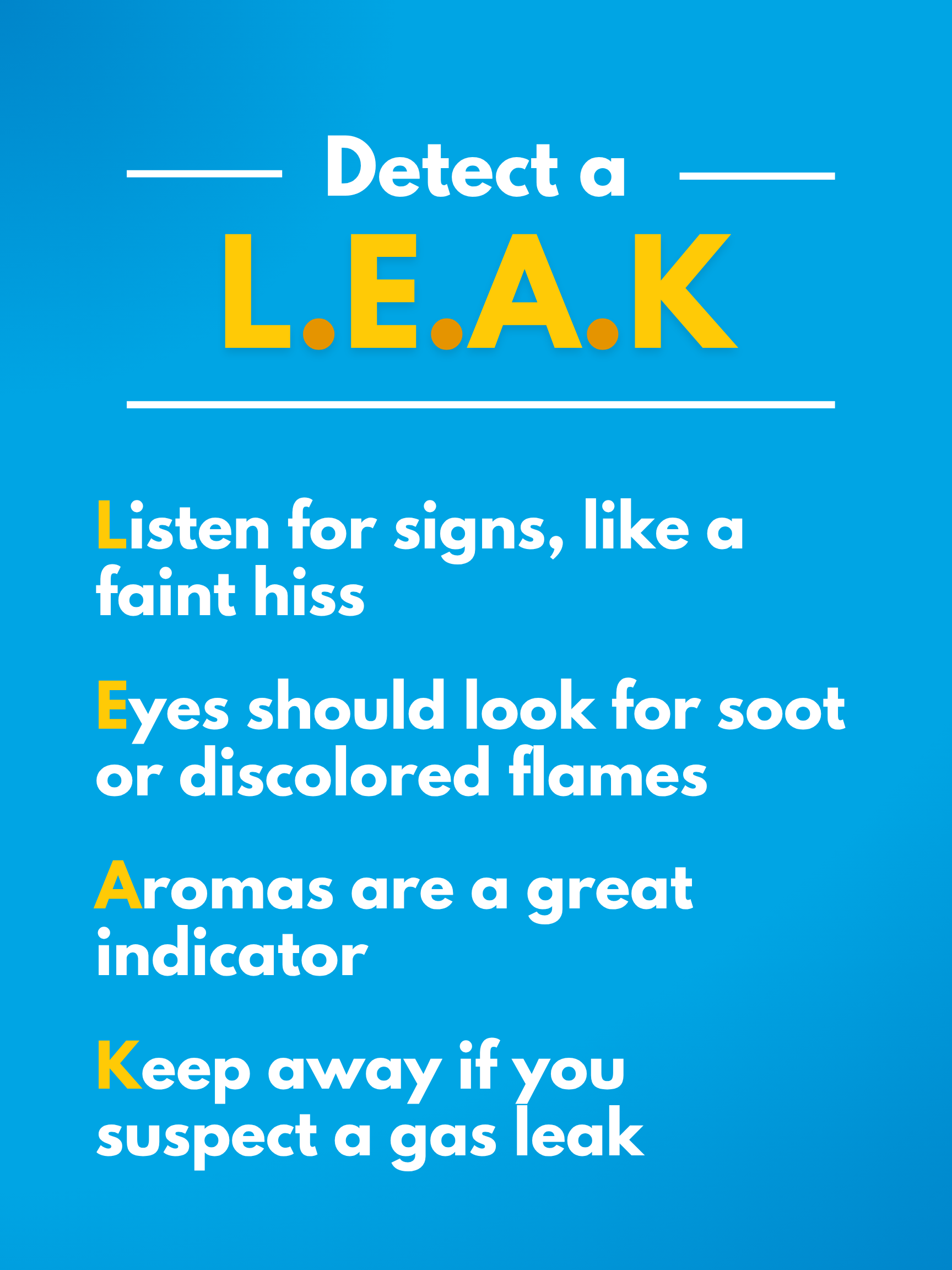 Description of the L E A K acronym described above