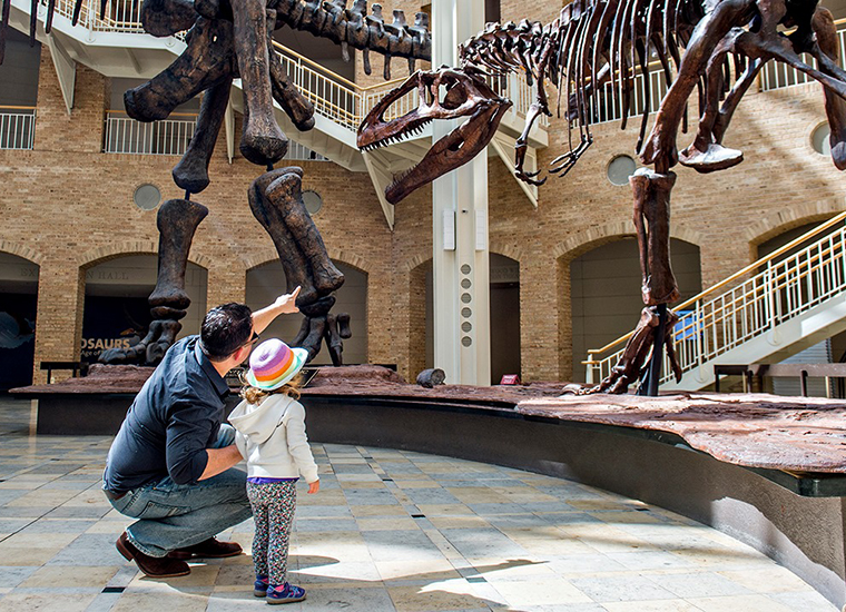 Fernbank-Museum_760x550