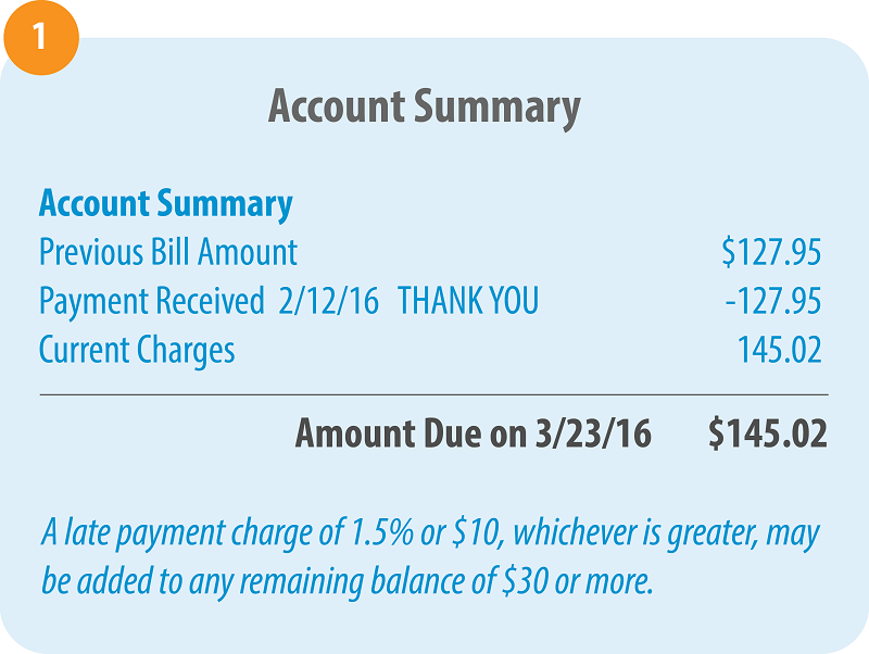 Account summary section of SCANA Energy bill