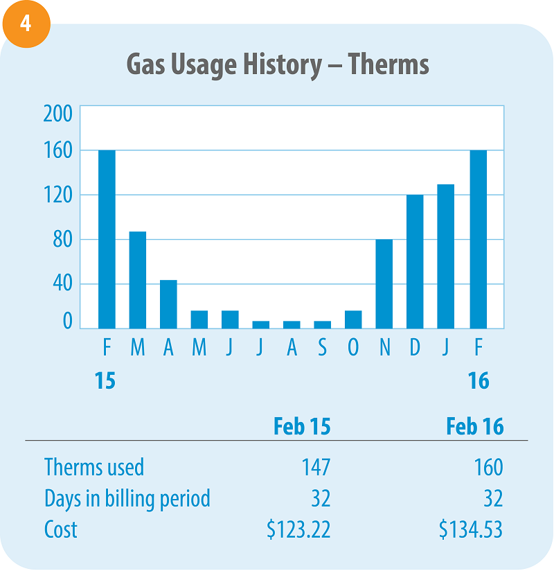 How To Read Your Natural Gas Bill A Step by Step Guide