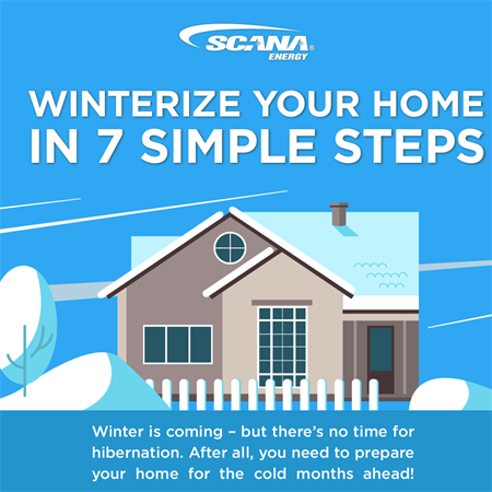 SCANA-495-2 Winterize your home graphic_v2-03
