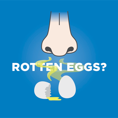 Rotten eggs