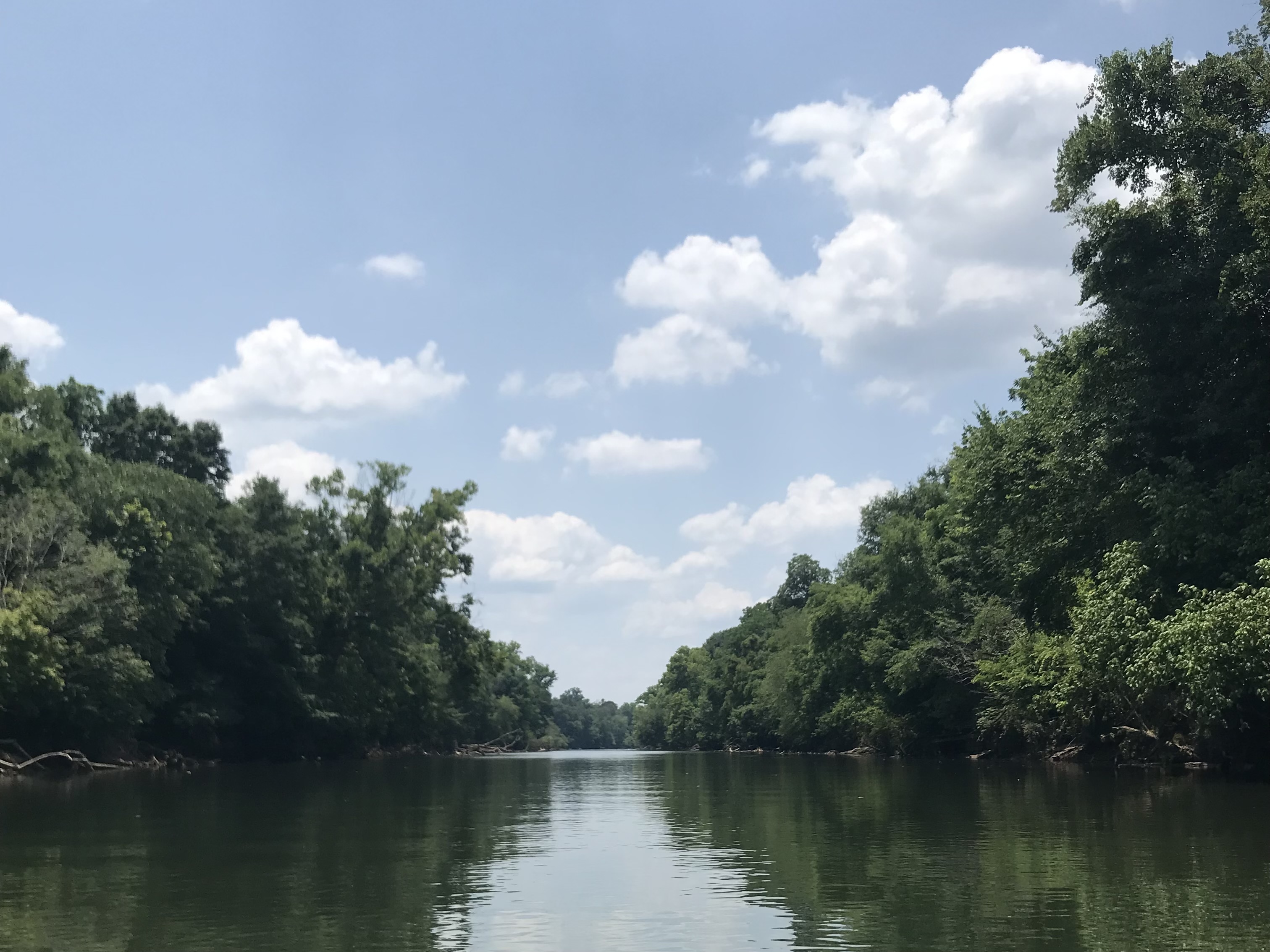 Photo of Etowah river in Georgia