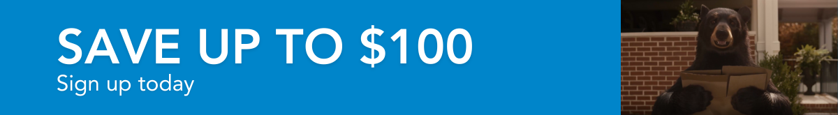 100 landing page