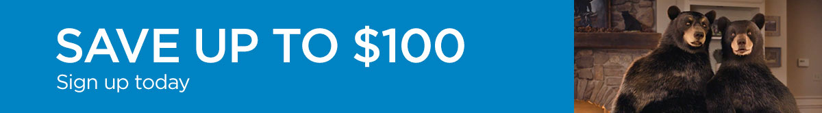 Value 100 landing page