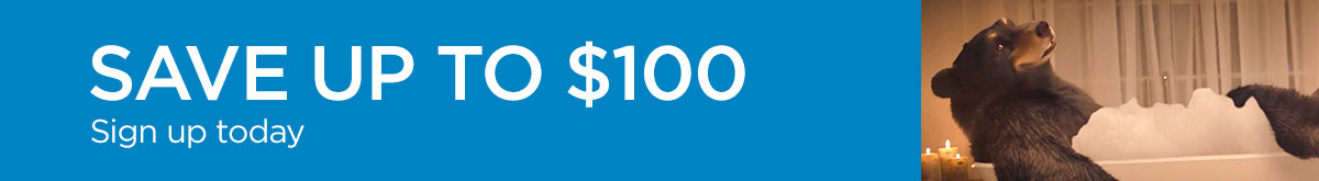 100 landing page